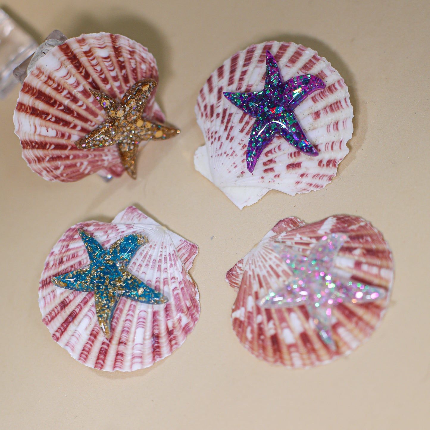 Bold Starfish